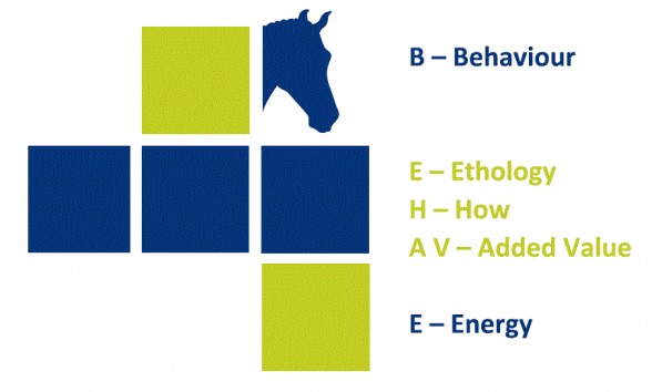 de BEHAVE-methode